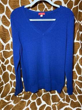 100% Pure Cashmere Long Sleeve Pullover V Neck Sweater; JENNIE LIU Women's